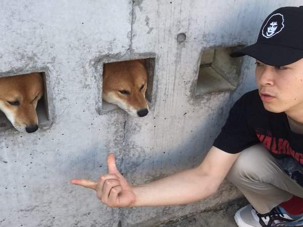 圖片7 圖片7