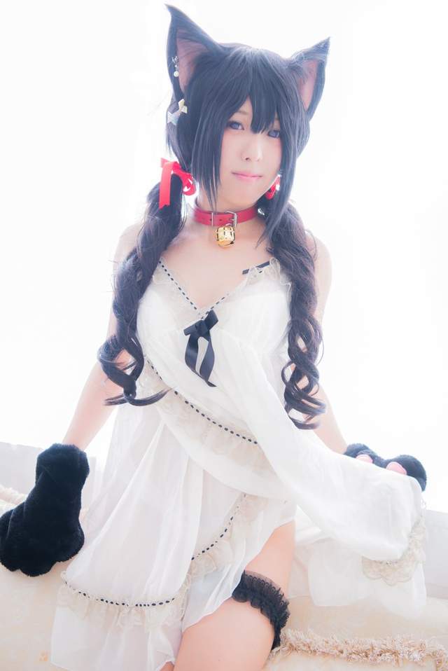 圖片15 圖片15