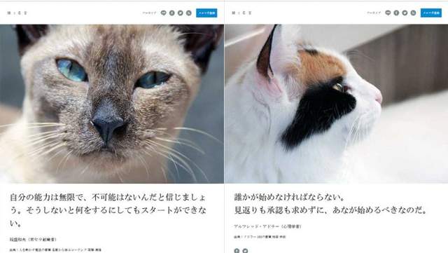 圖片4 圖片4
