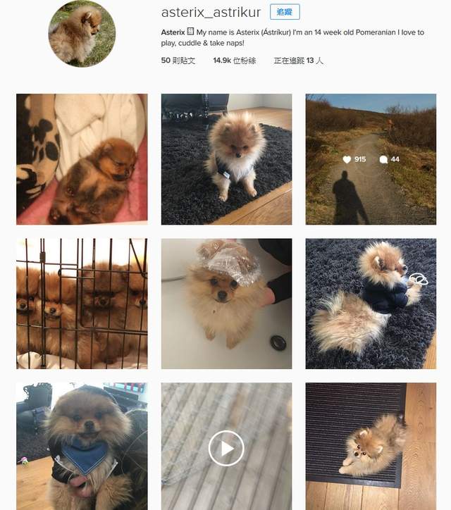 圖片11 圖片11