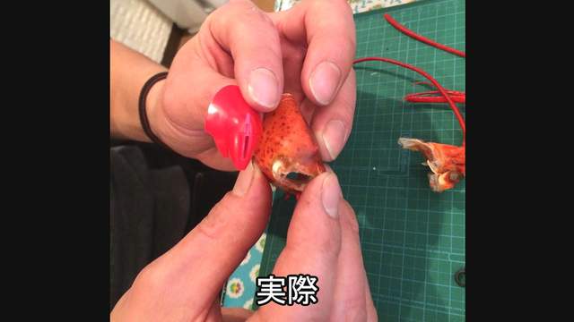 圖片9 圖片9