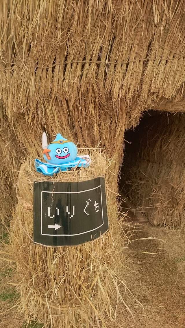 圖片8 圖片8