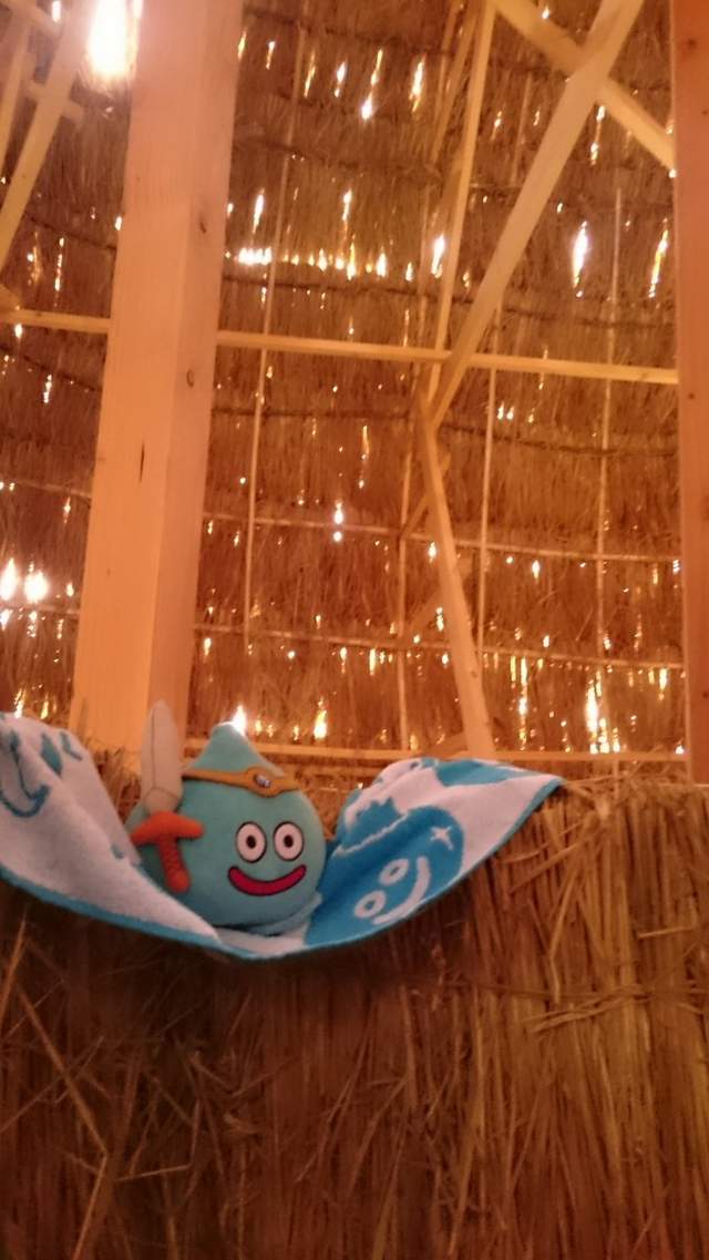 圖片9 圖片9
