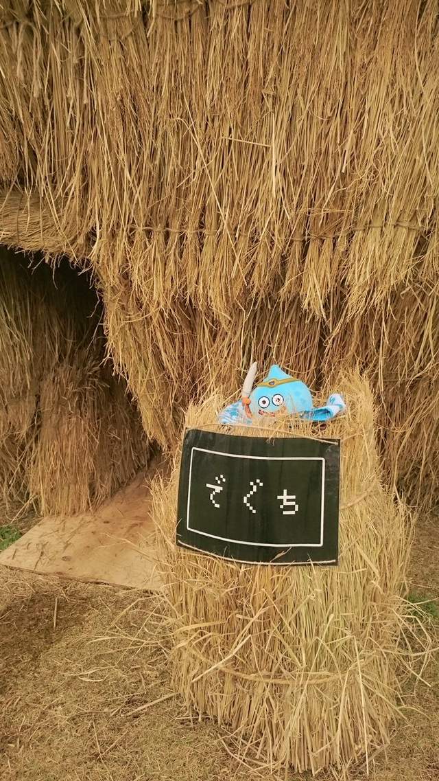 圖片10 圖片10