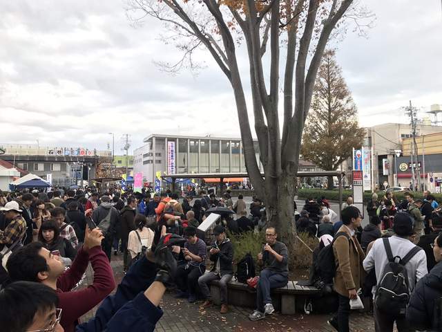 圖片11 圖片11