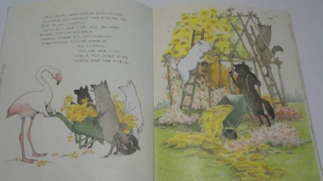 圖片16 圖片16