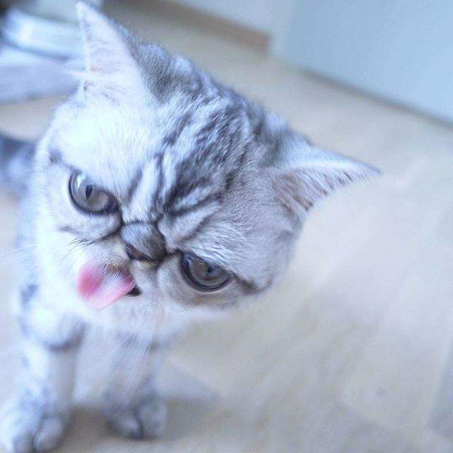 圖片9 圖片9
