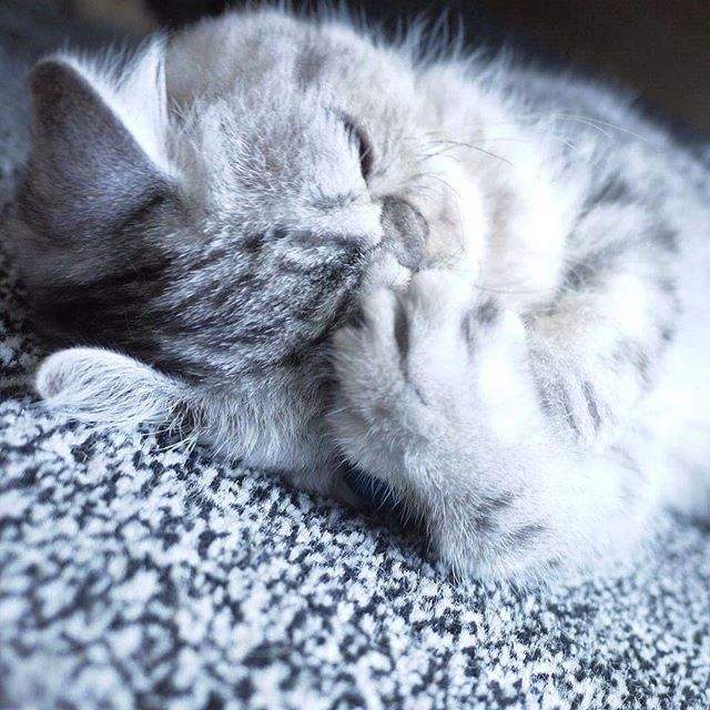 圖片4 圖片4