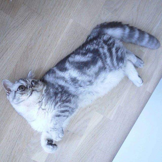 圖片7 圖片7