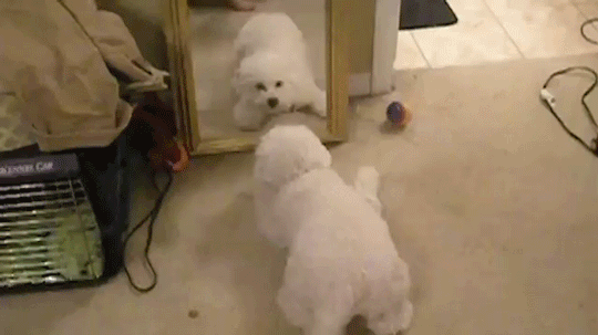 圖片7 圖片7