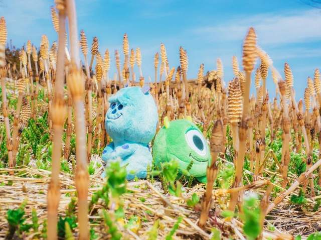 圖片19 圖片19
