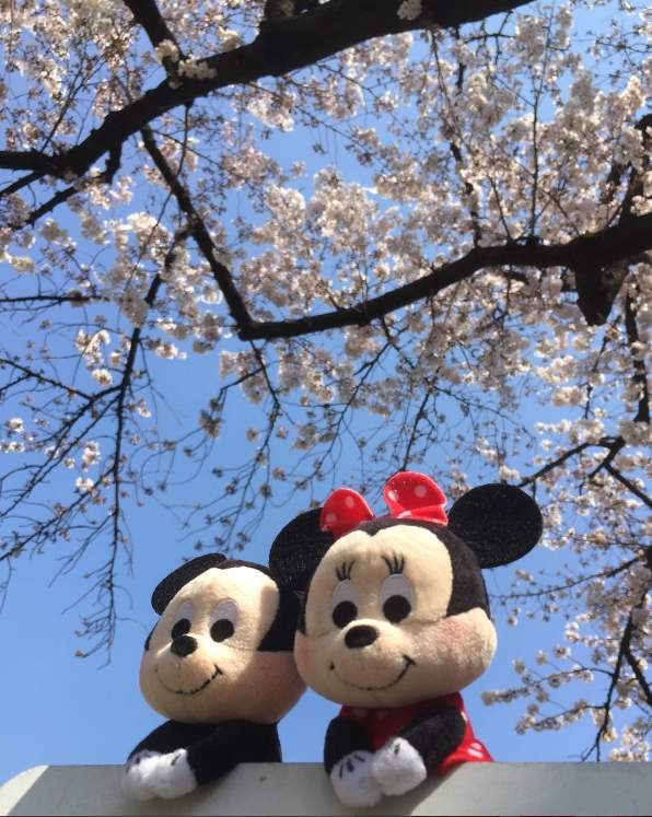 圖片18 圖片18