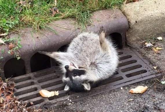 圖片4 圖片4