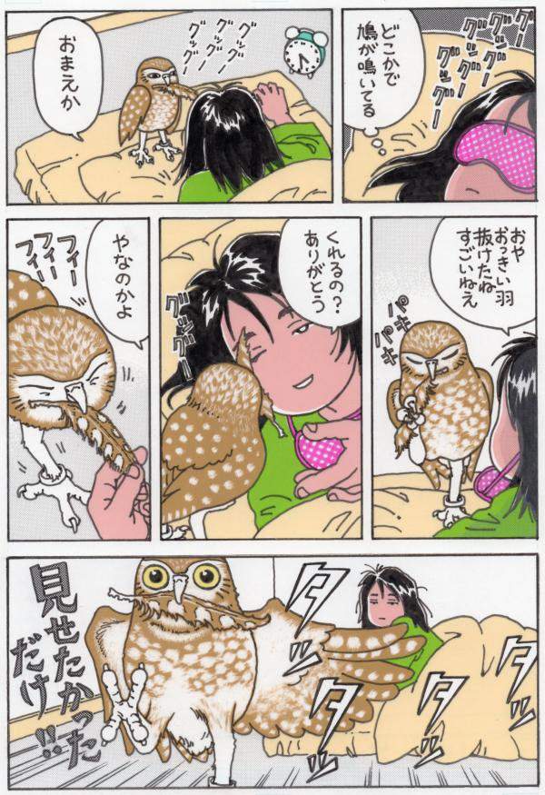 圖片11 圖片11