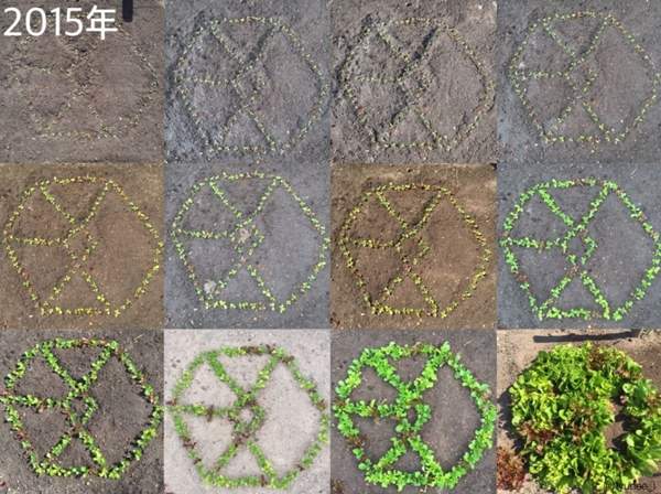 圖片7 圖片7