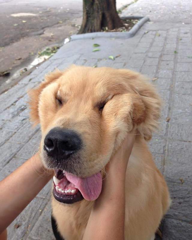 圖片9 圖片9