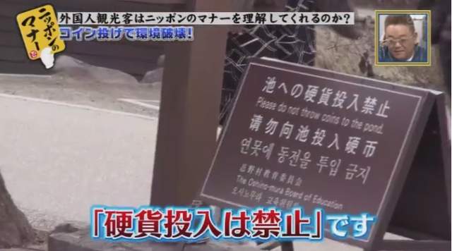 圖片12 圖片12