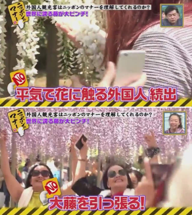 圖片9 圖片9