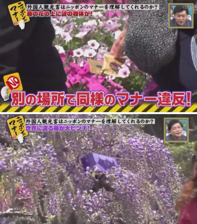 圖片10 圖片10