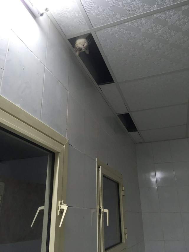 圖片5 圖片5