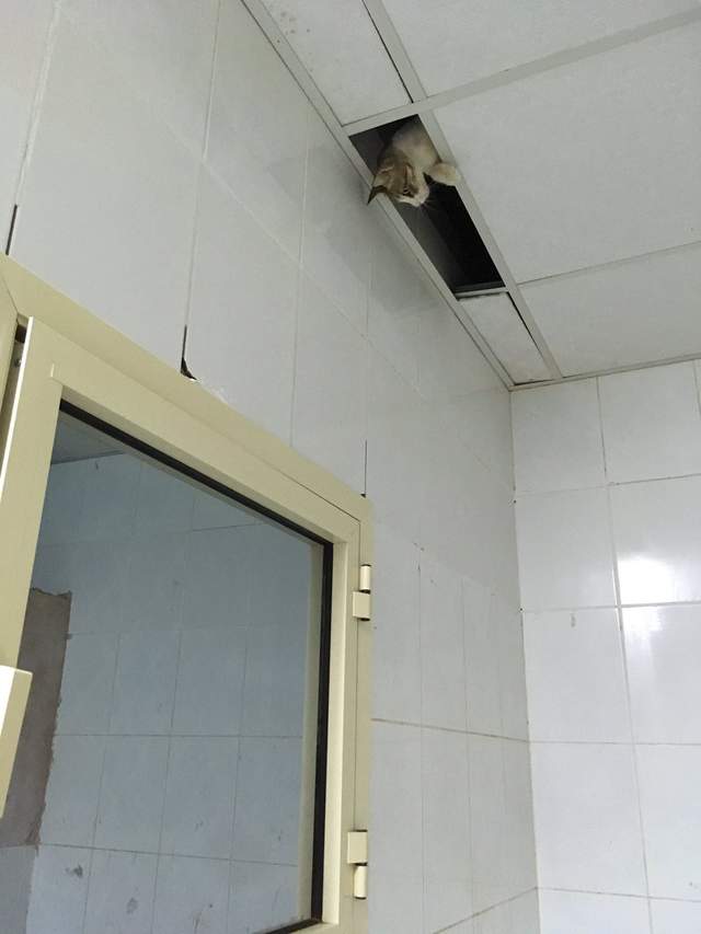 圖片7 圖片7