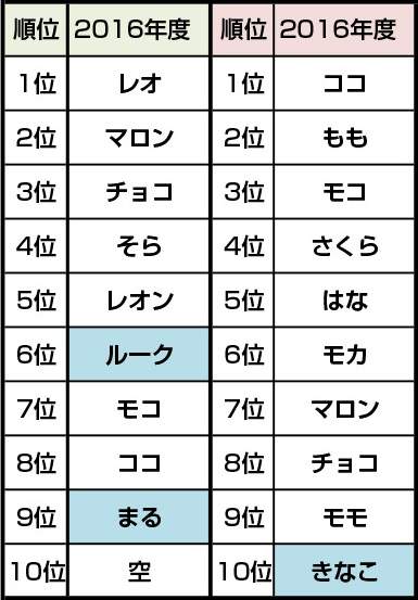 圖片4 圖片4