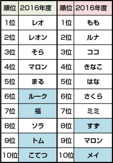 圖片6 圖片6