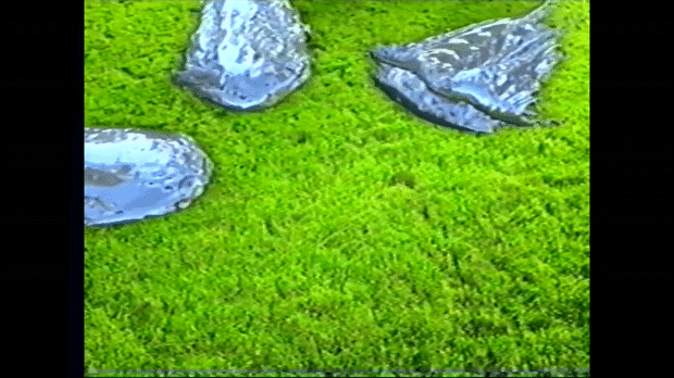 圖片5 圖片5
