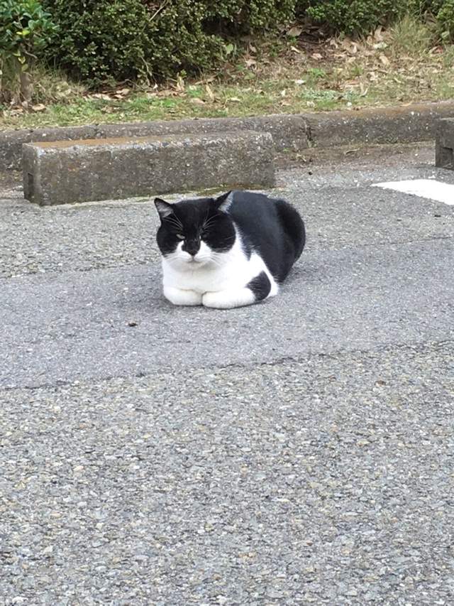 圖片4 圖片4
