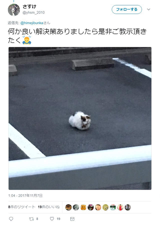 圖片7 圖片7