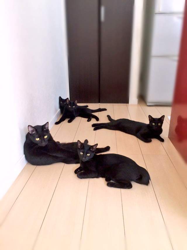 圖片8 圖片8