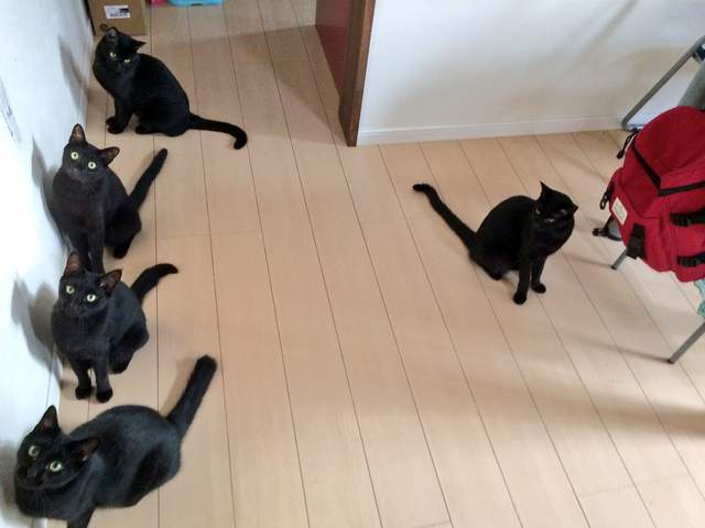 圖片9 圖片9