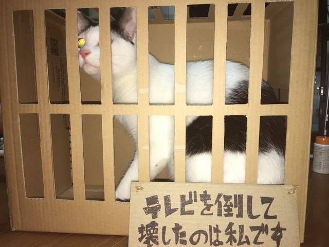 圖片4 圖片4