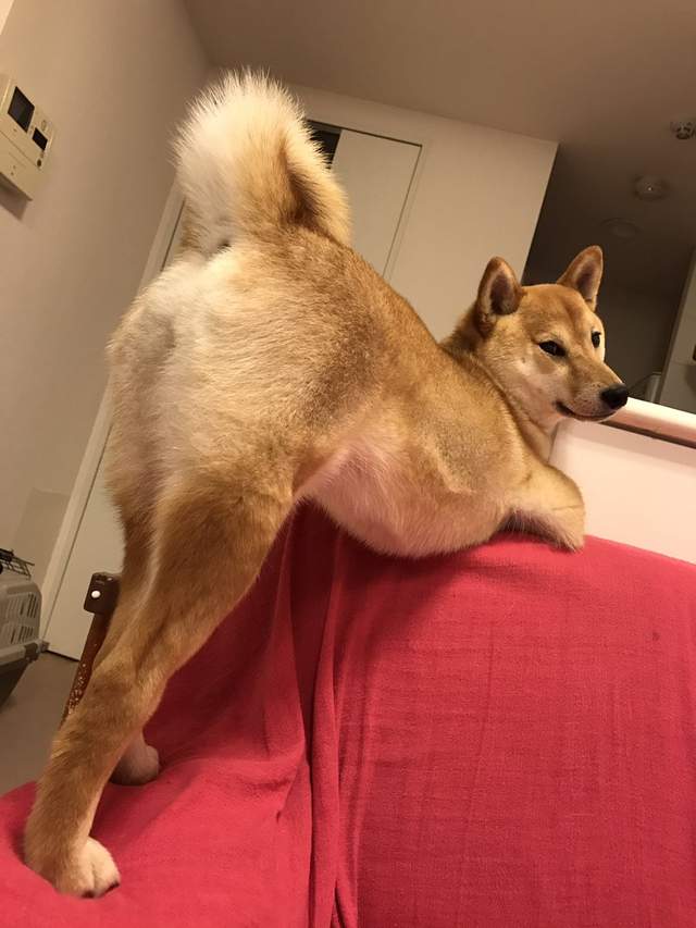 圖片8 圖片8
