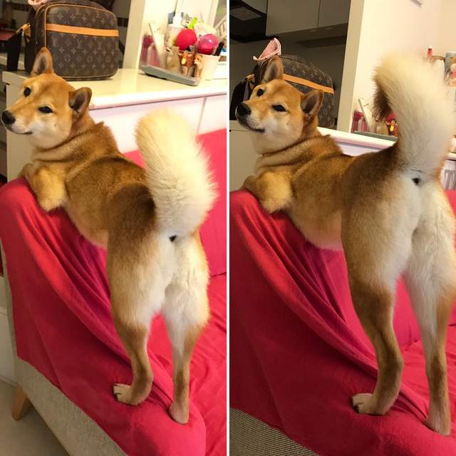 圖片6 圖片6