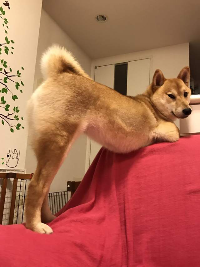 圖片5 圖片5