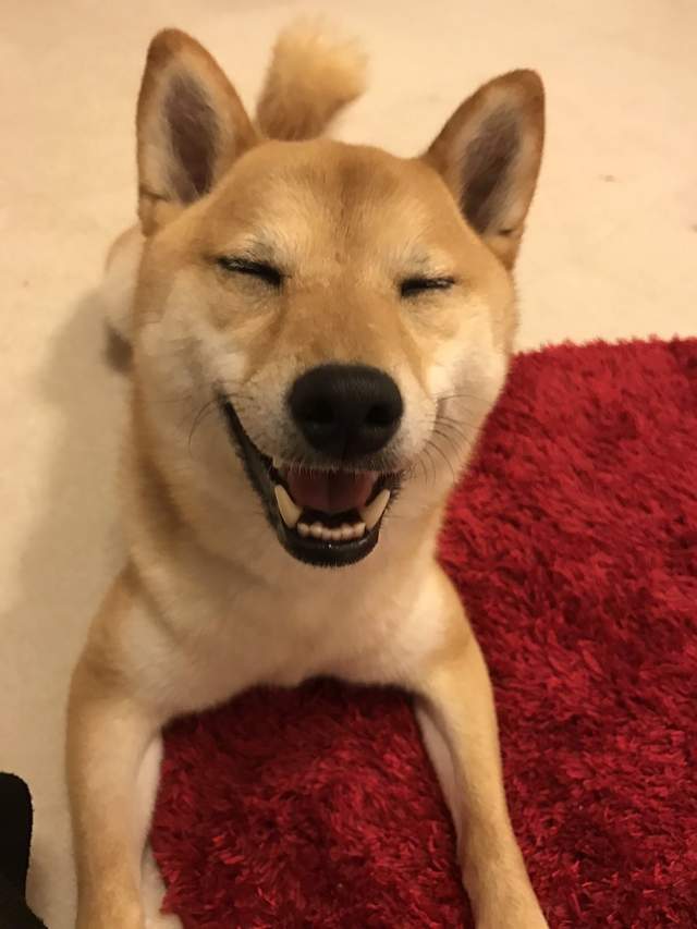 圖片9 圖片9