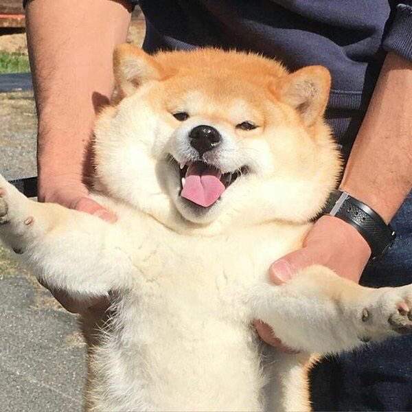 圖片7 圖片7