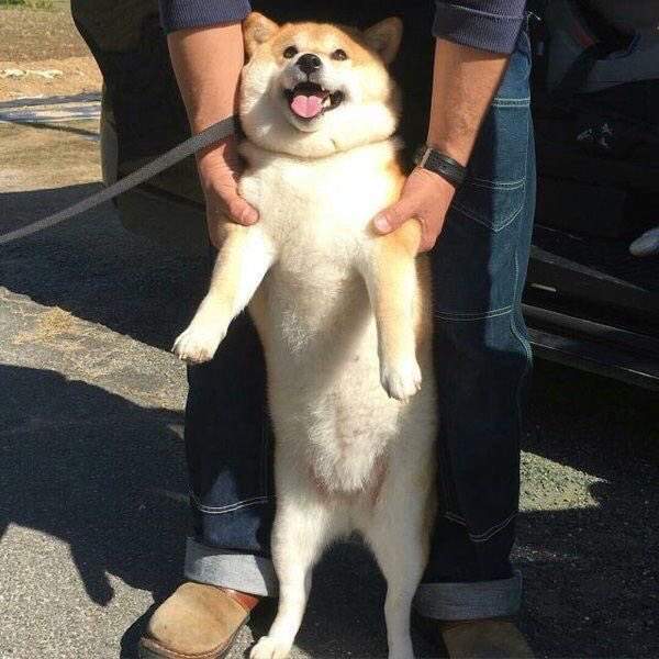 圖片5 圖片5