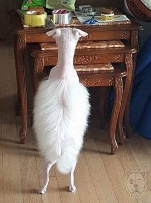 圖片5 圖片5
