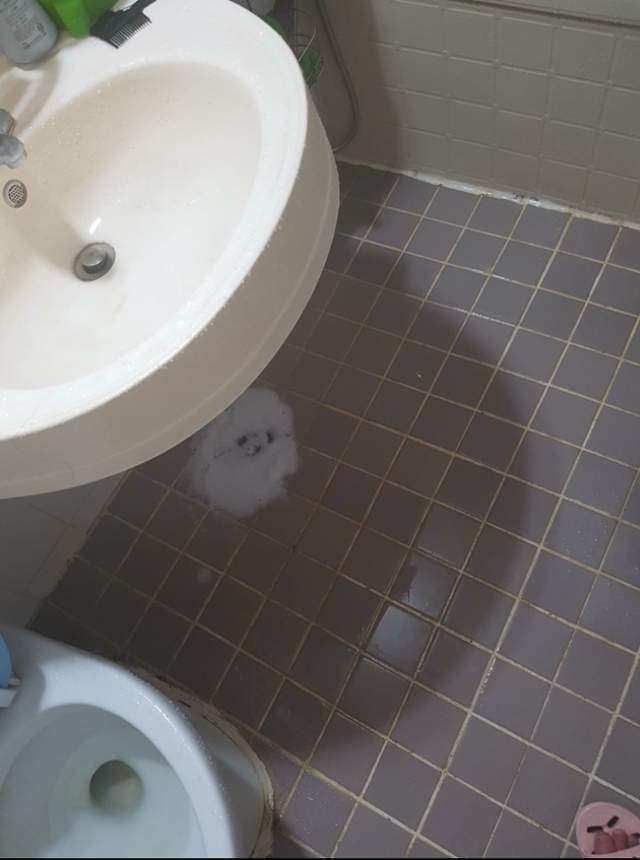 圖片7 圖片7