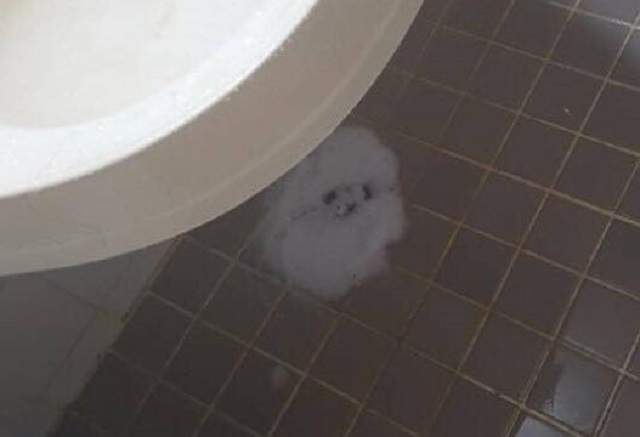 圖片8 圖片8