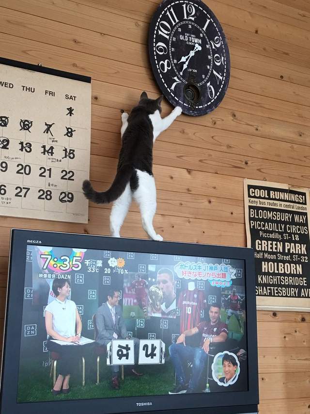 圖片10 圖片10