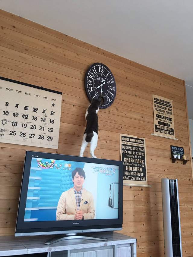 圖片8 圖片8