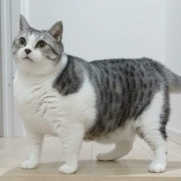 圖片4 圖片4