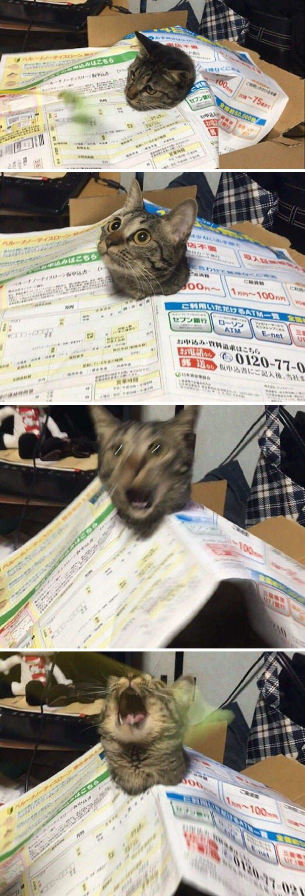 圖片21 圖片21