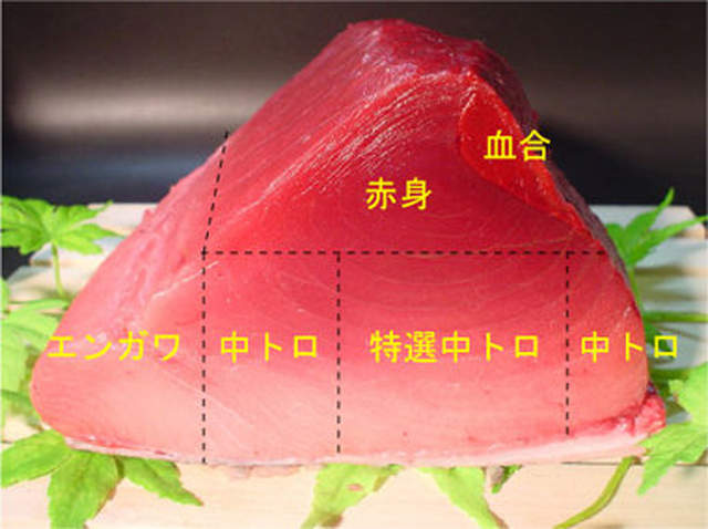 圖片5 圖片5