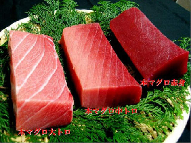 圖片6 圖片6