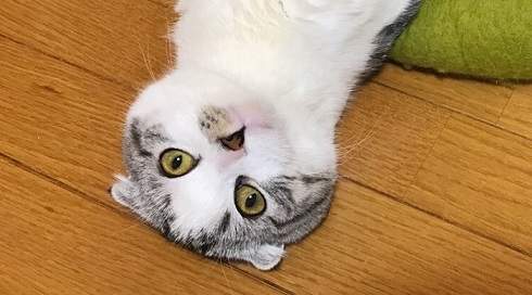 圖片5 圖片5