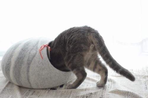 圖片9 圖片9